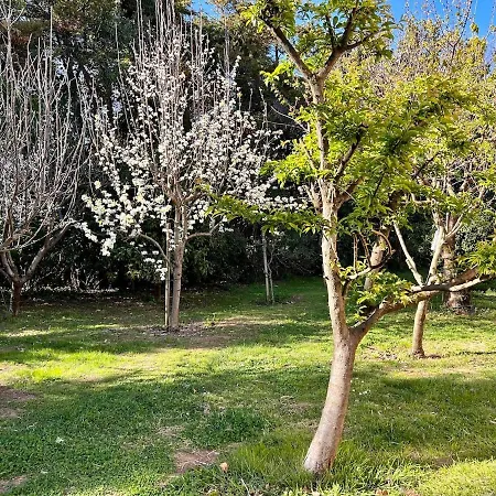 Appartamento Sejour Detente Avec Piscine