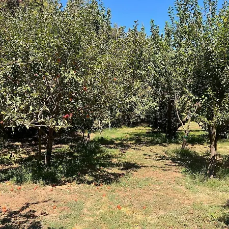 Sejour Detente Avec Piscine *