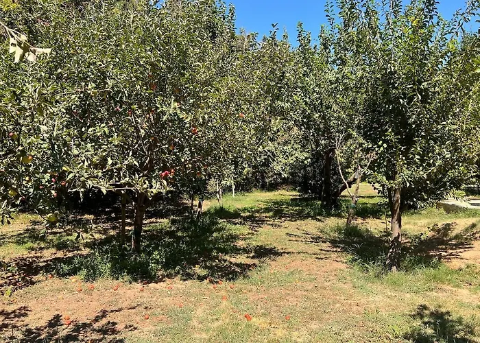 Sejour Detente Avec Piscine *